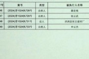 理论国产一级,引领科技创新，铸就民族品牌辉煌