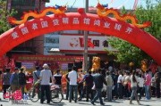 国产精品馆,匠心独运，传承与创新并重的文化瑰宝之旅